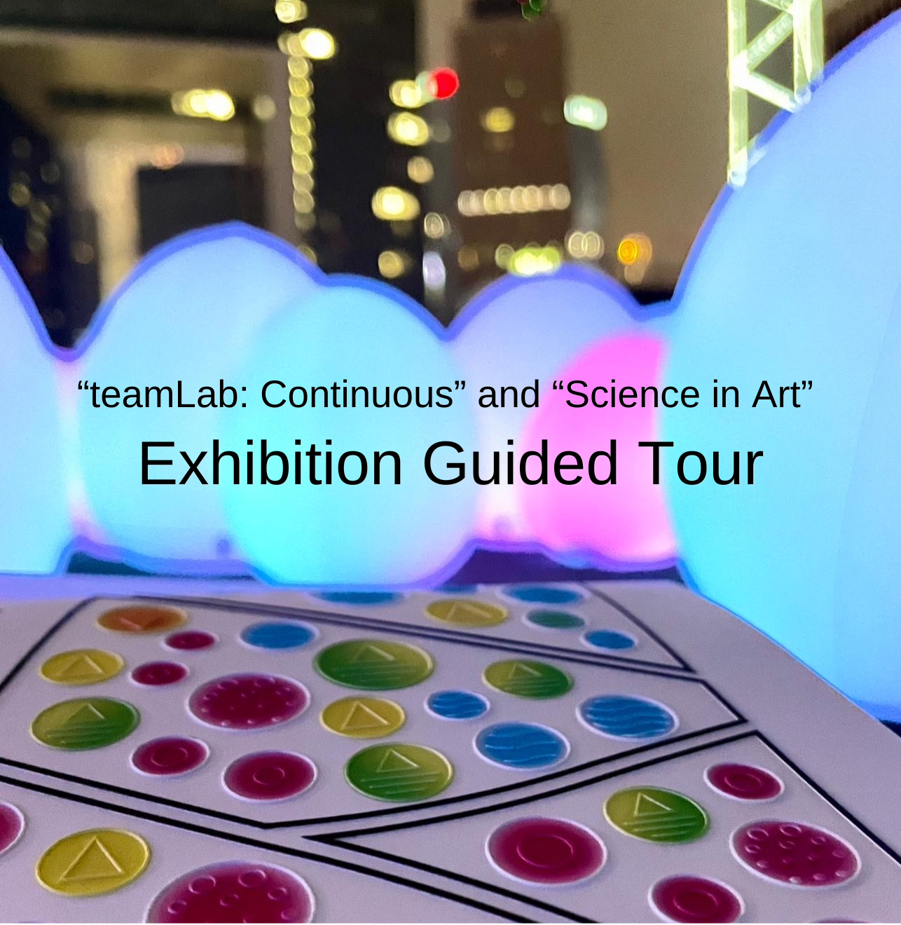 “teamLab: Continuous” and “Science in Art” Exhibition Accessible Guided Tour photo