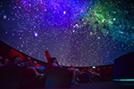 Go Stargazing with the Curators