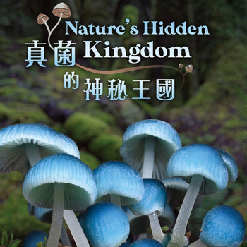 Nature's Hidden Kingdom