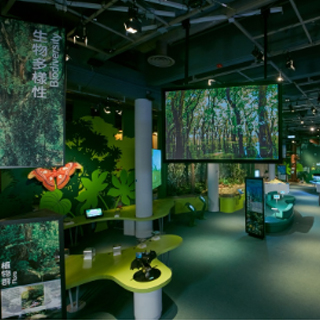 Biodiversity Gallery 