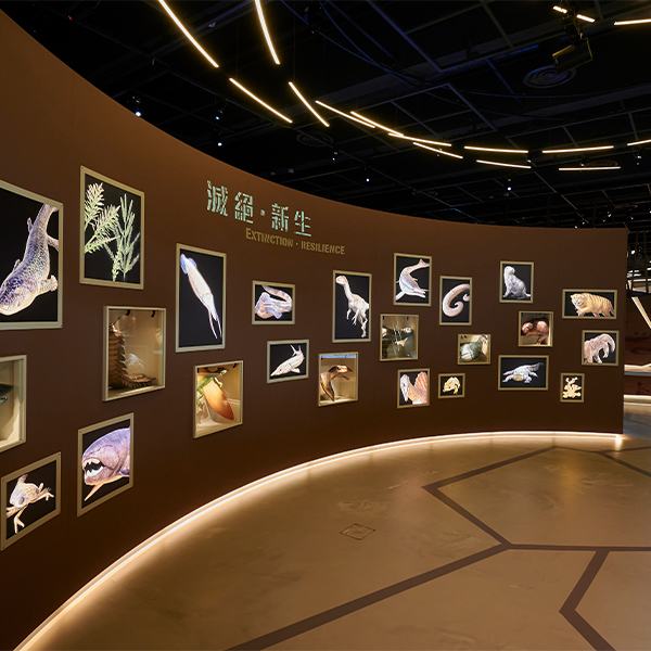 Hong Kong Science Museum 香港科学馆