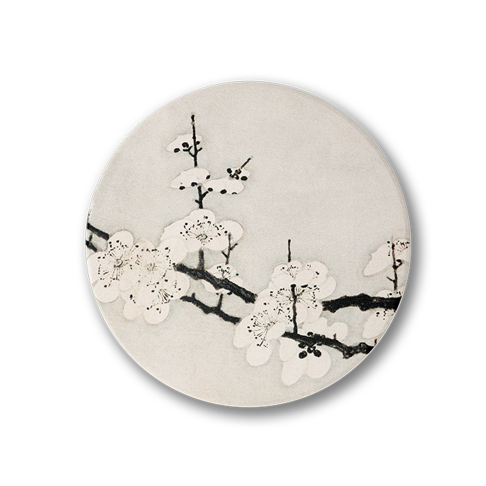 Miscellaneous subjects Coaster