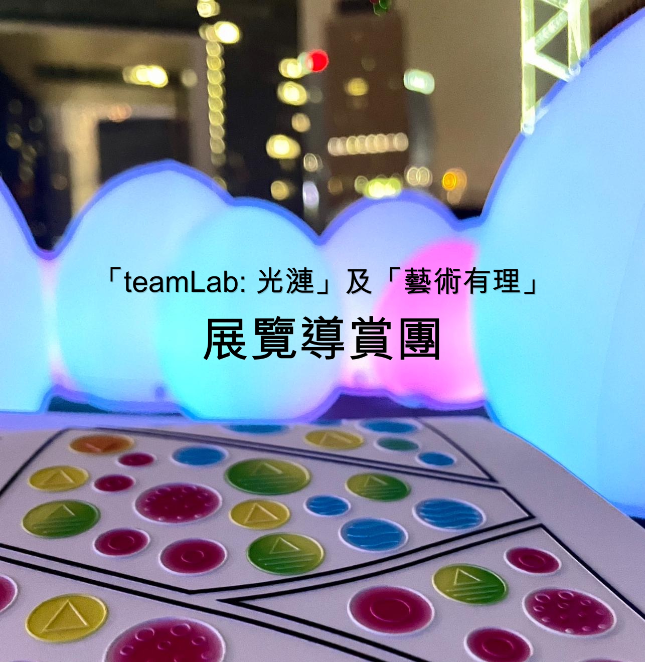 「teamLab: 光涟」及「艺术有理」展览通达导赏团 event photo