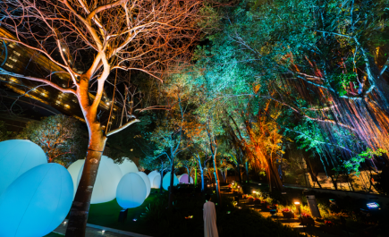 teamLab: continuous @ Tamar Park