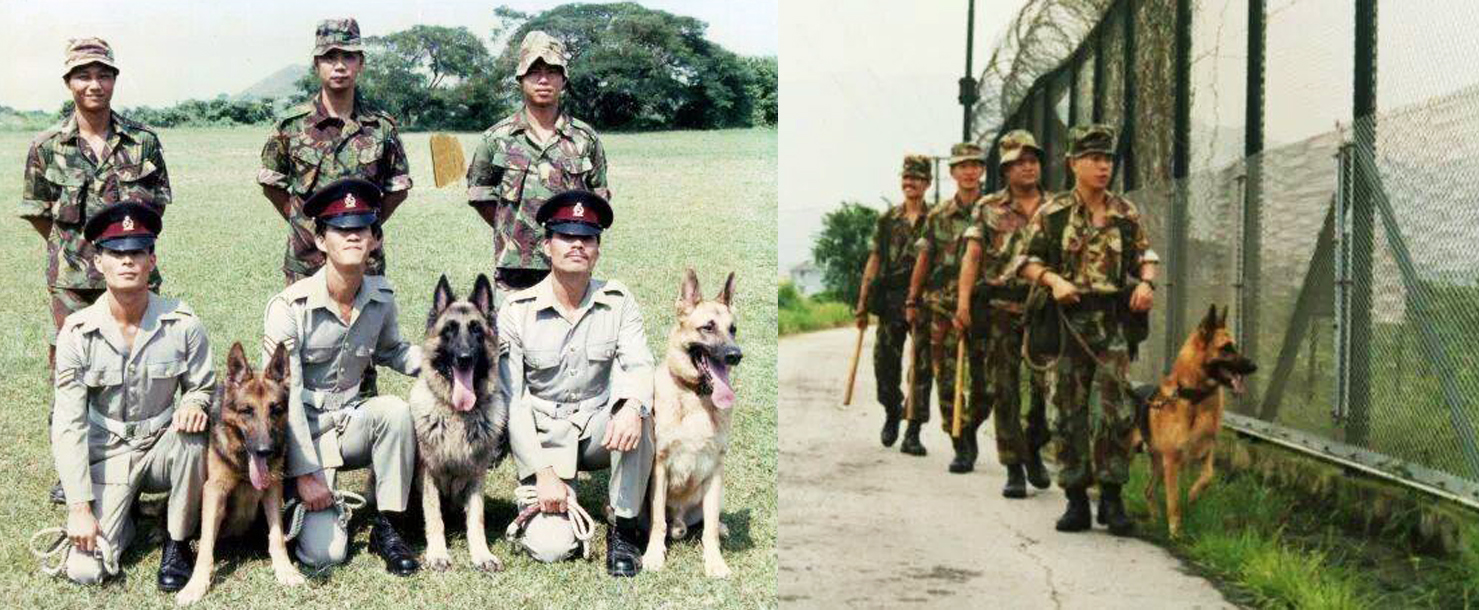 退役华籍英兵分享会「前防卫军犬队的故事」