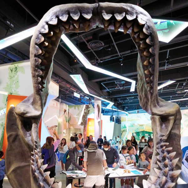 動物夜派對@ScM 活動照片