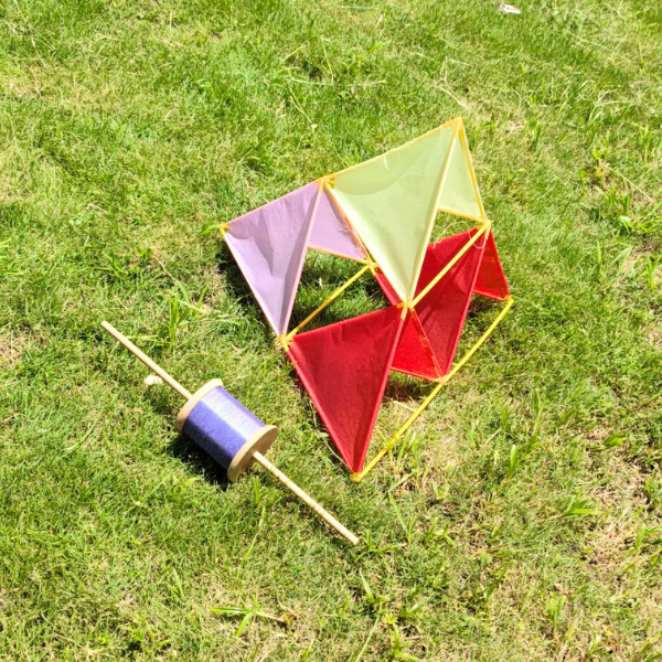 Thumbnail Blowing in the Wind – Kite Making Workshop