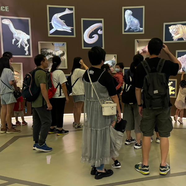 康文署博物館 – 香港博物館節2025 – 康文署節目