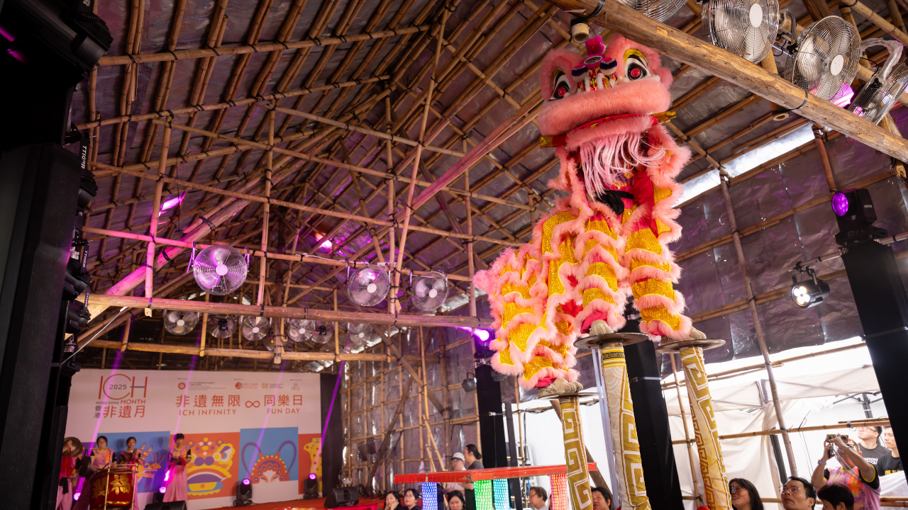 Fun at Museum Carnival Image 10