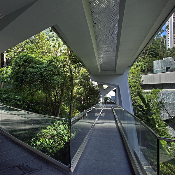 Asia Society